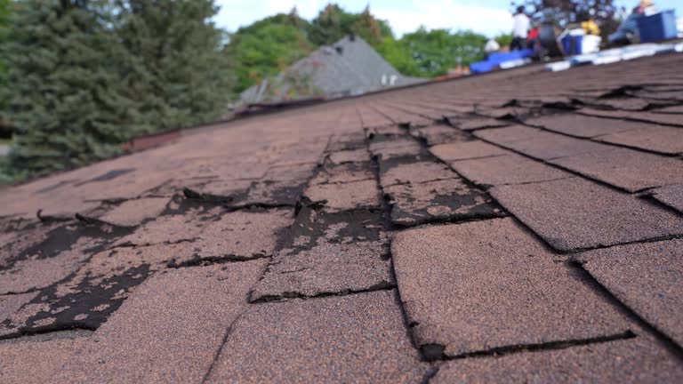 Best Metal Roofing Installation  in Amboy, IL