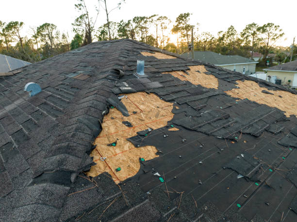 Best Tile Roofing Installation  in Amboy, IL